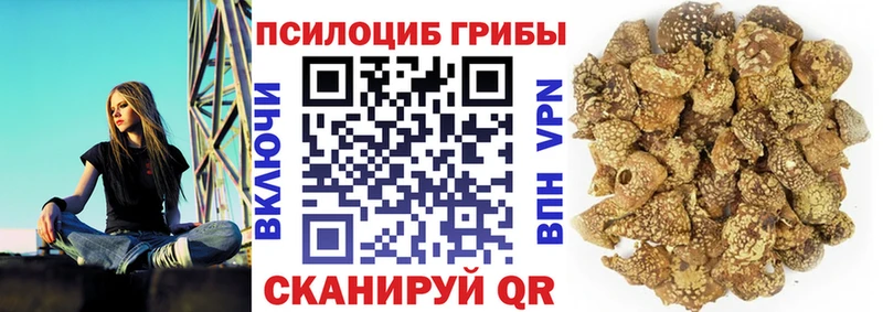MEGA ссылка  Нерчинск  Галлюциногенные грибы мицелий  где найти  